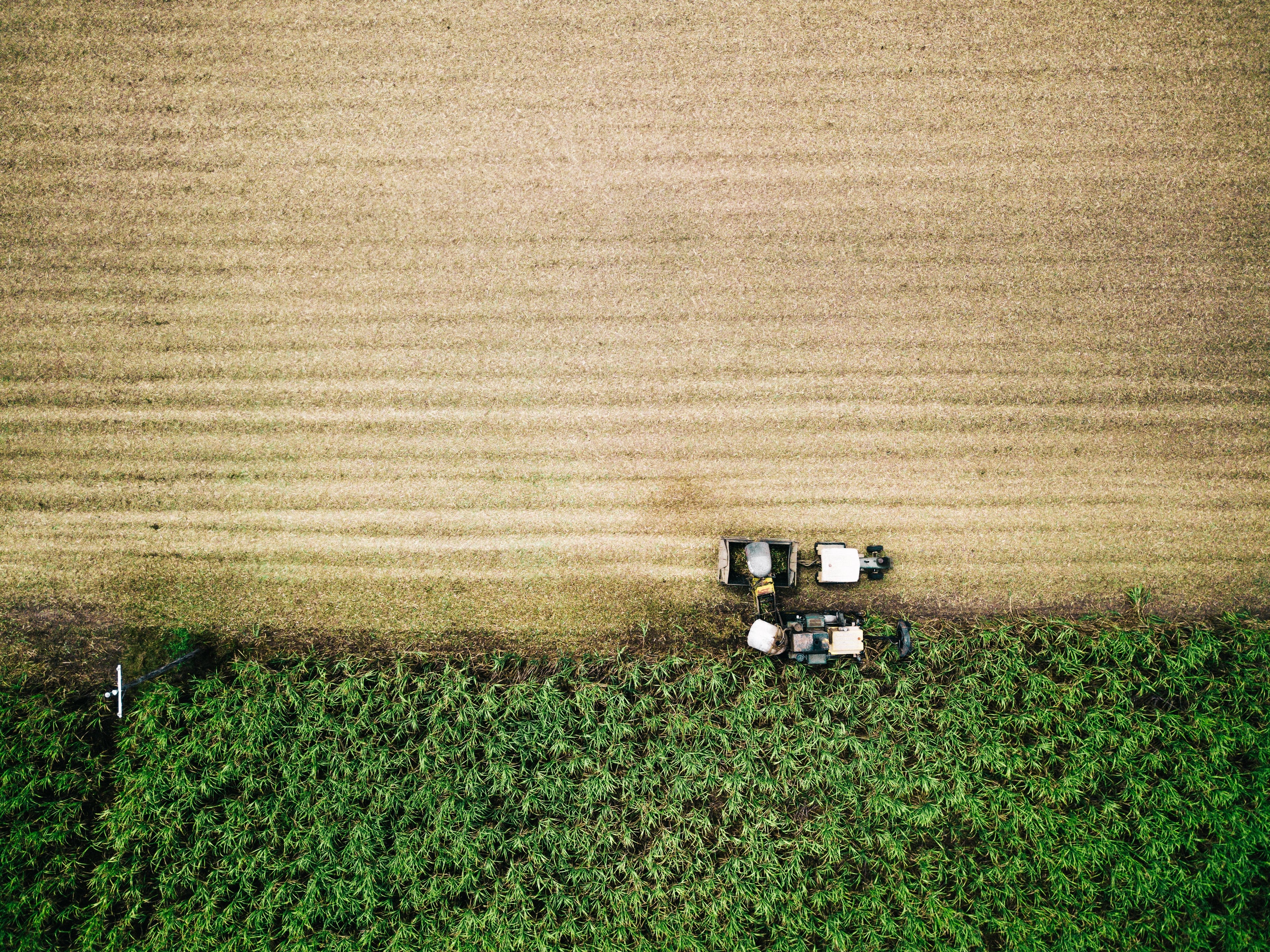 Vårt hållbarhetsarbete – naturlig och klimatsmart hudvård. Svenska gårdar.