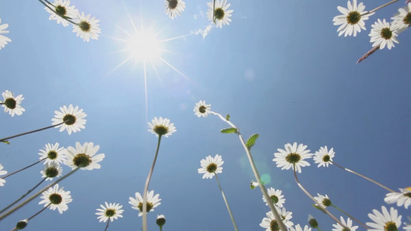 Naturlig solkräm med SPF 30 från No Bond Beauty – utan vatten eller tillsatser